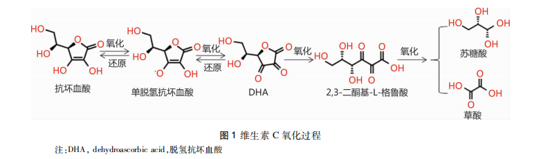 维生素C抗肿瘤机制