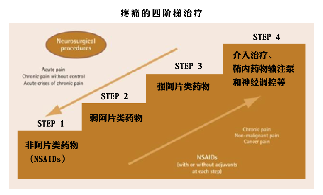 治疗癌性疼痛的四阶梯疗法介绍