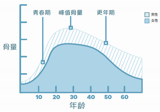  甲状腺癌患者，小心“无声的疾病”--骨质疏松