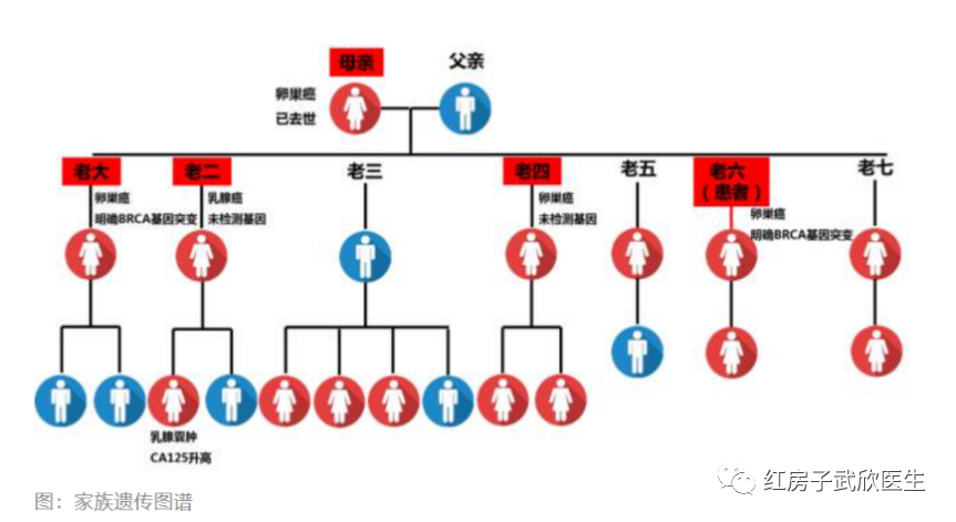 遗传性卵巢癌的诊断和治疗