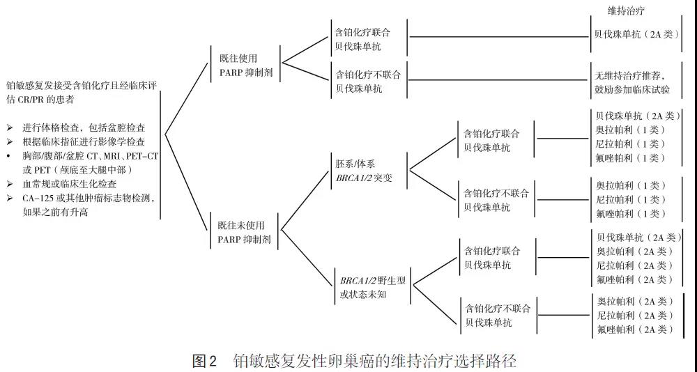 中国卵巢上皮性癌维持治疗指南（2022年版）