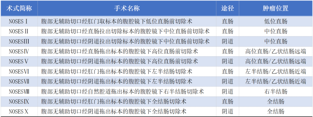 周岩冰教授：关于结直肠癌NOSES手术的疑惑，详解在这里！