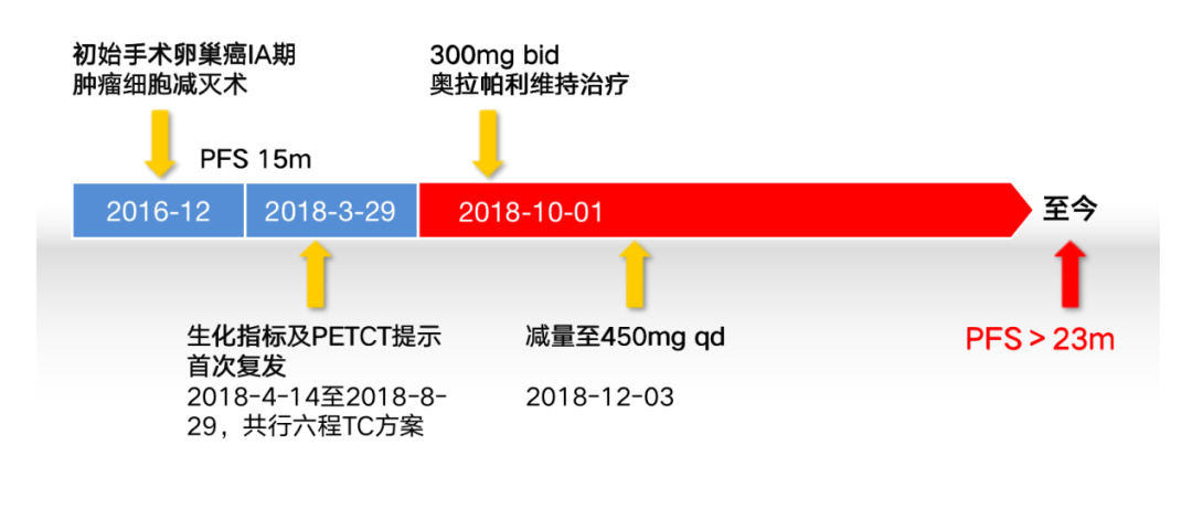 妇瘤探案 | 奥拉帕利精锐之姿狙击BRCA-wt，如何方能打赢复发性卵巢