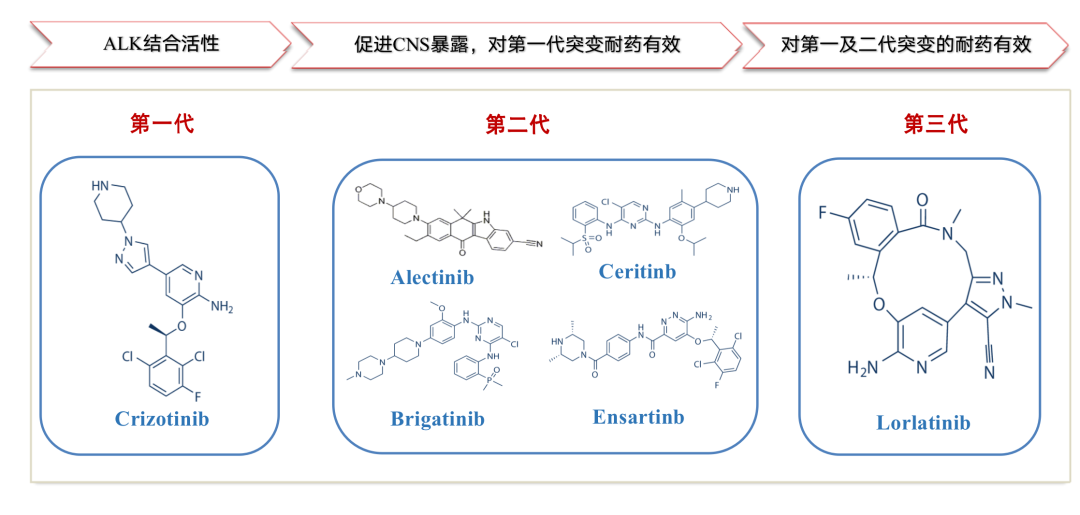 恩沙替尼治疗ALK 阳性晚期非小细胞肺癌 病例分享