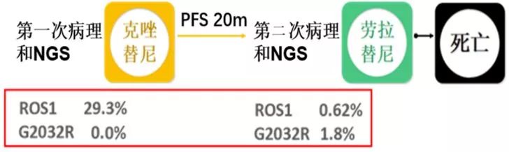 一例胸水NGS诊断ROS1阳性晚期肺腺癌的病例解析