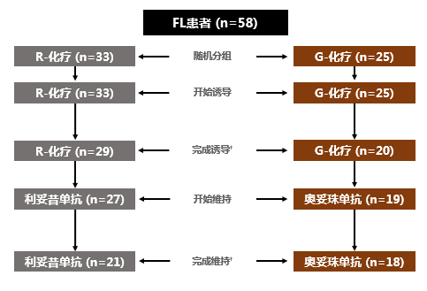  洪小南教授全面解读GALLIUM研究中国亚组分析结果