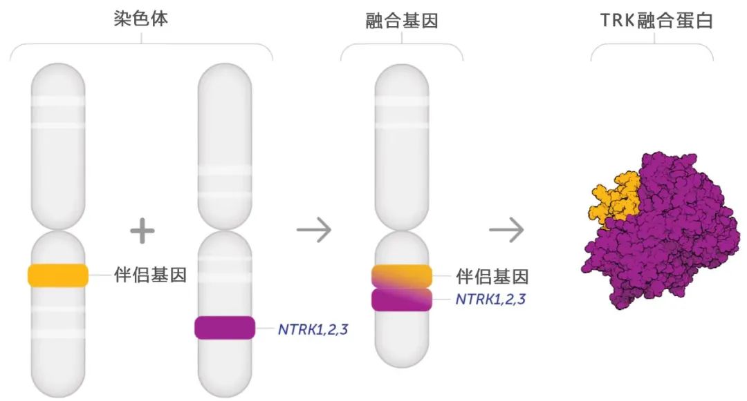 闪耀全球的首个“不限癌种”抗癌药，终于登陆中国！“有效率75%、能