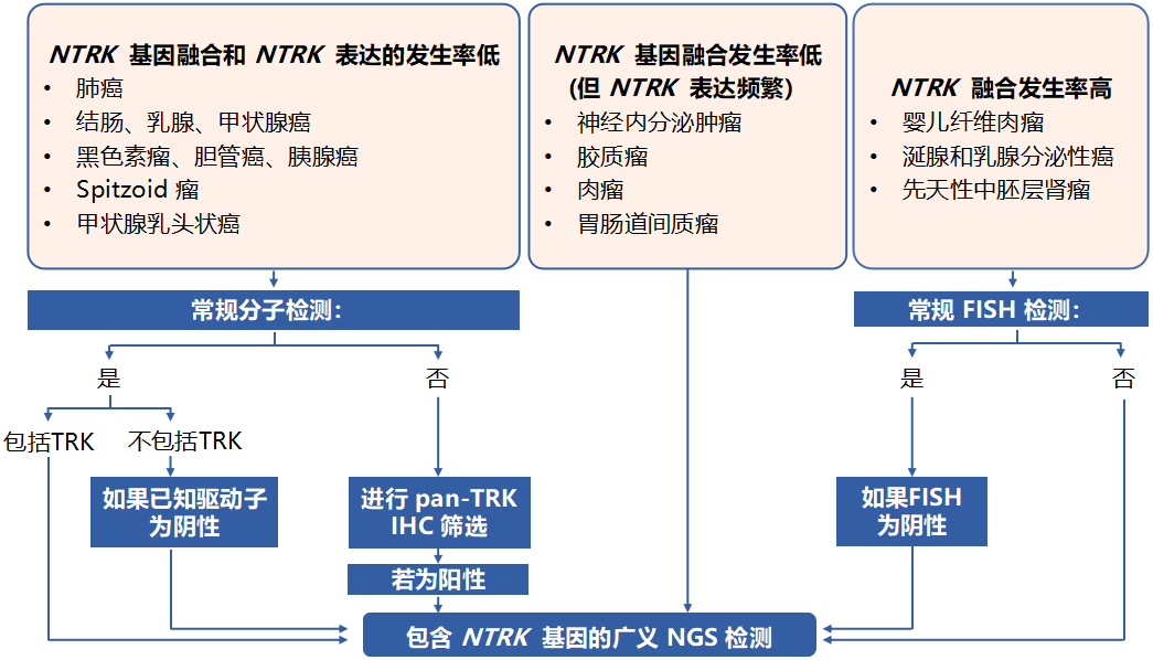 NTRK精准诊疗，有章可循