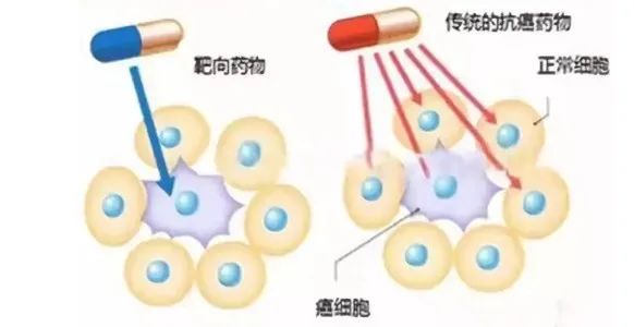 如果说淋巴瘤是人生的破绽，那么淋巴瘤的破绽又是什么呢？