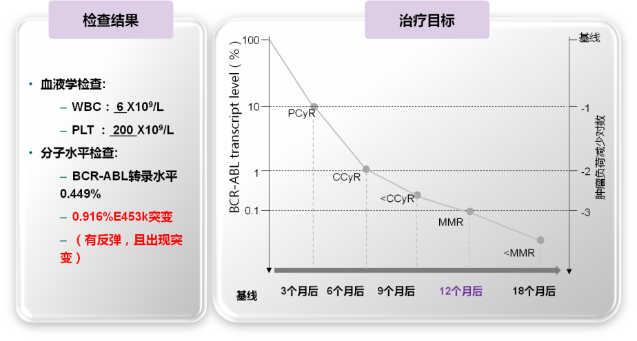 慢粒服用伊马替尼 12 个月耐药后该如何治疗？