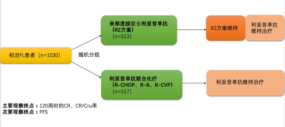 “RELEVANCE OR NOT RELEVANCE”，看来那度胺为滤泡性淋巴瘤的一线