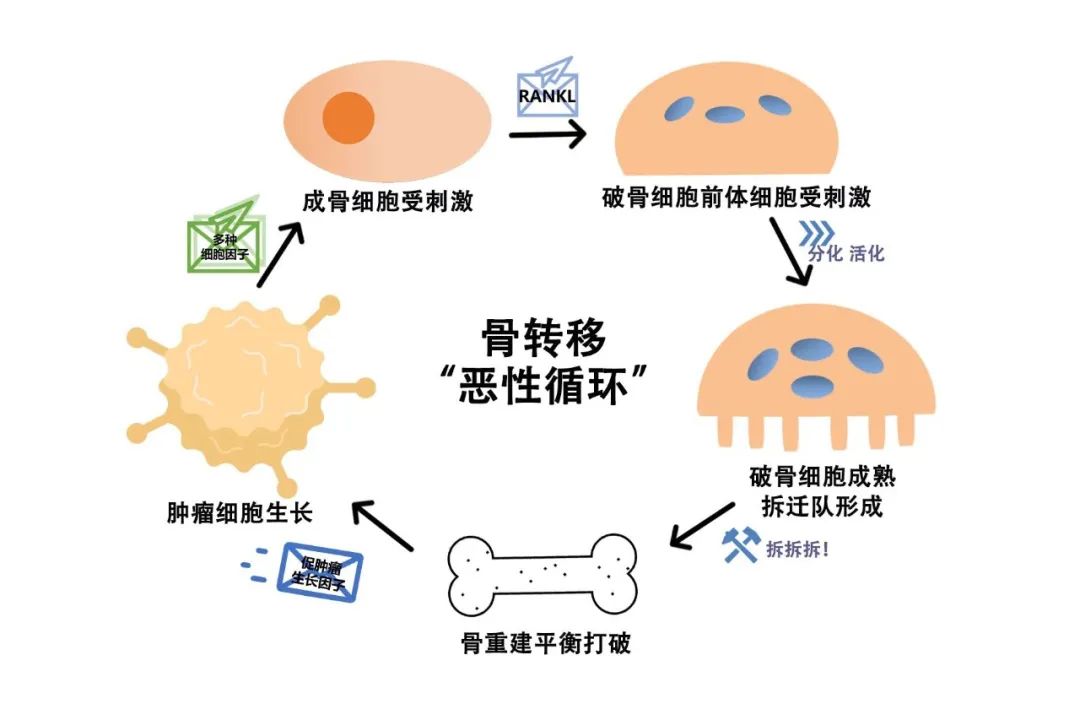 PD-1抑制剂联合地舒单抗，为疗效“加把劲儿”！