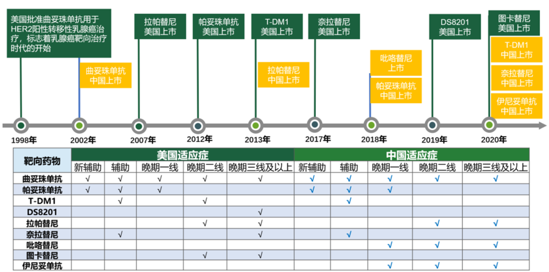 一例HER2阳性晚期乳腺癌患者10年的治疗经历，追溯10年来抗HER2治疗