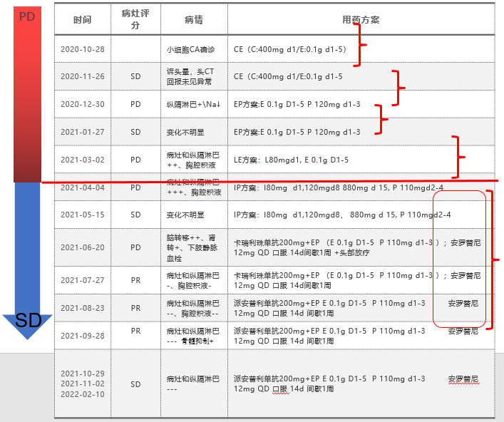 An例说丨“双安疗法”用于广泛期小细胞肺癌二线治疗，副反应低，疗效