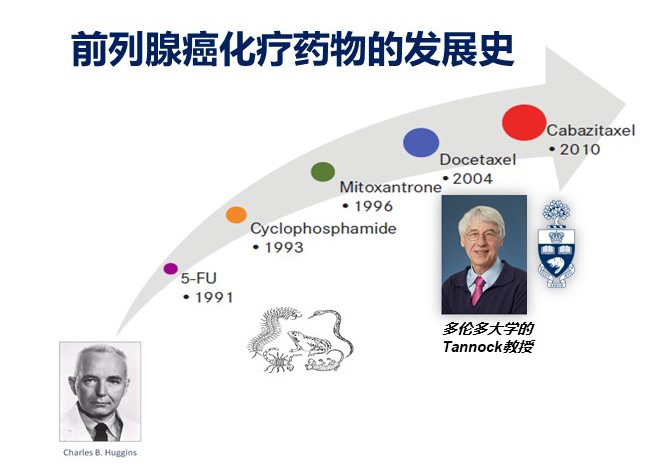 前列腺癌化疗：化疗药物的发展史